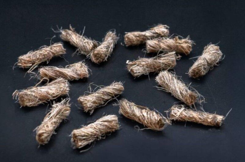 Les fibres de chanvre Fibrofor EcoGreen AS mesurent 12 mm de long. Et présentent des diamètres variés allant de 0 à 100 µm étant un produit végétal. [©Contec Fiber AG]